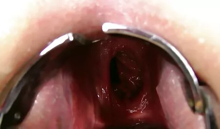 لاتینا یک مرد سیاه پوست را عکس دختر پسر سکسی به عثمان می زند.
