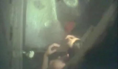 بلوند در دهان و گربه اش سک با دختر لعنتی.